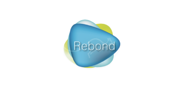 log-rebond